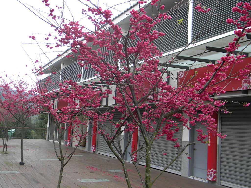 Miaoli Sanyi Bo Wu Guan Homestay Экстерьер фото